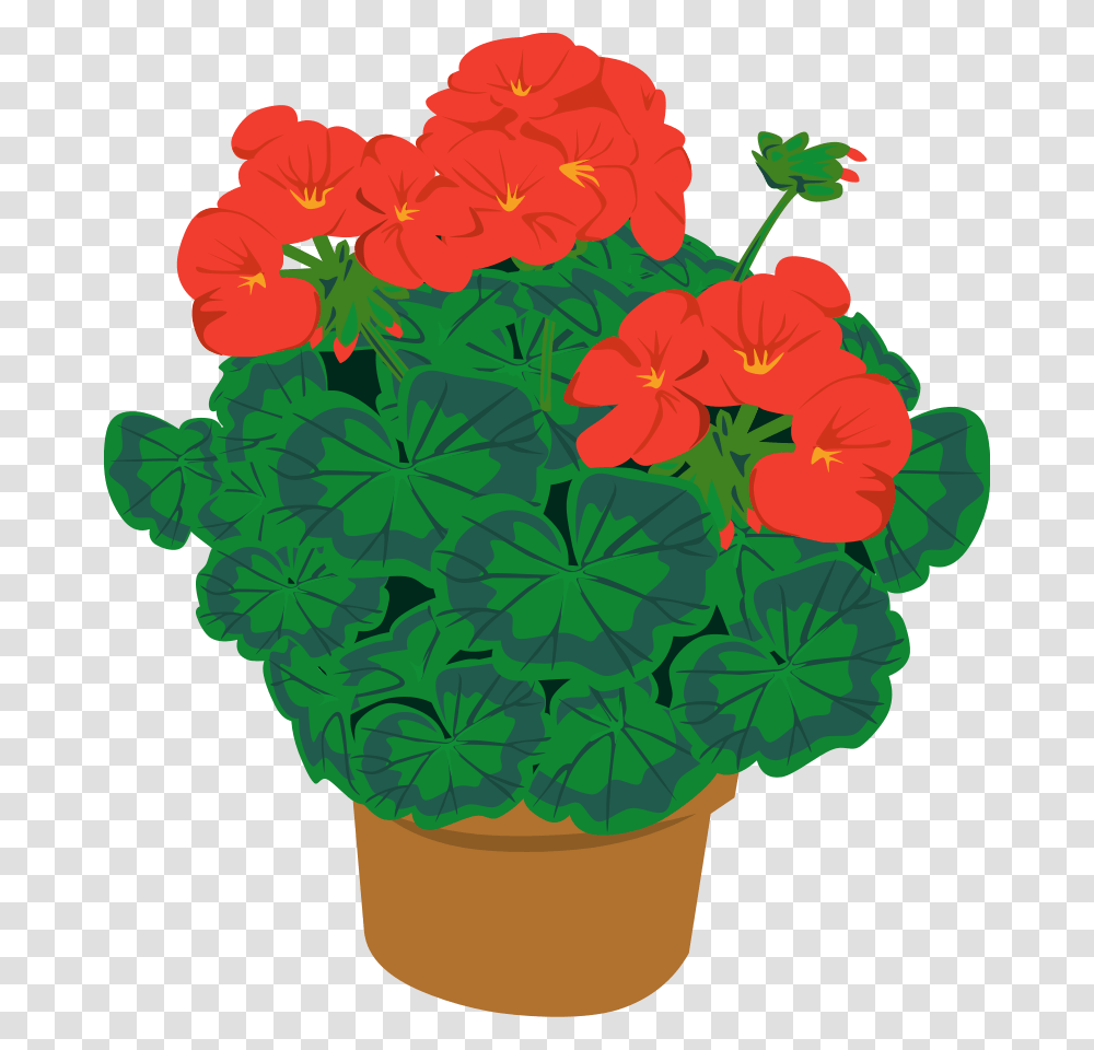 Pot Clipart, Geranium, Flower, Plant, Blossom Transparent Png