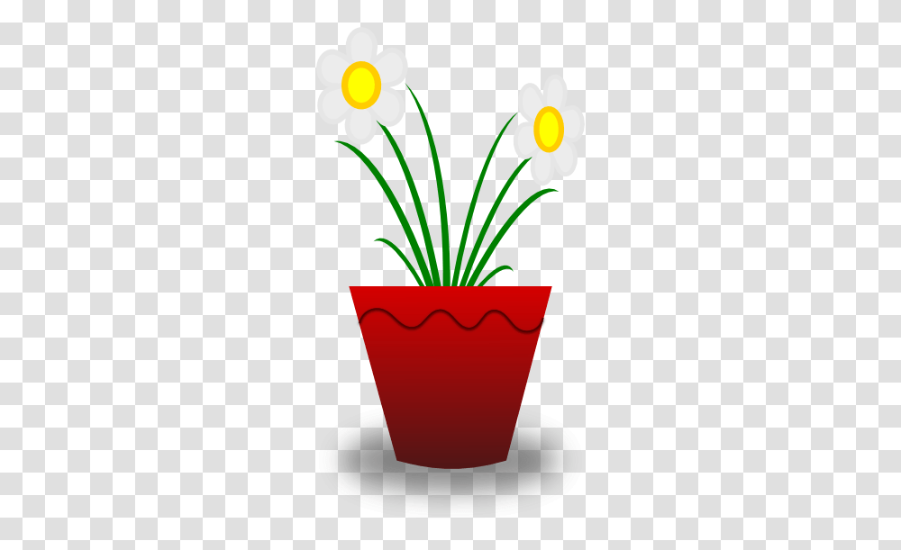 Pot Daisy Clipart Explore Pictures, Plant, Flower, Blossom, Potted Plant Transparent Png