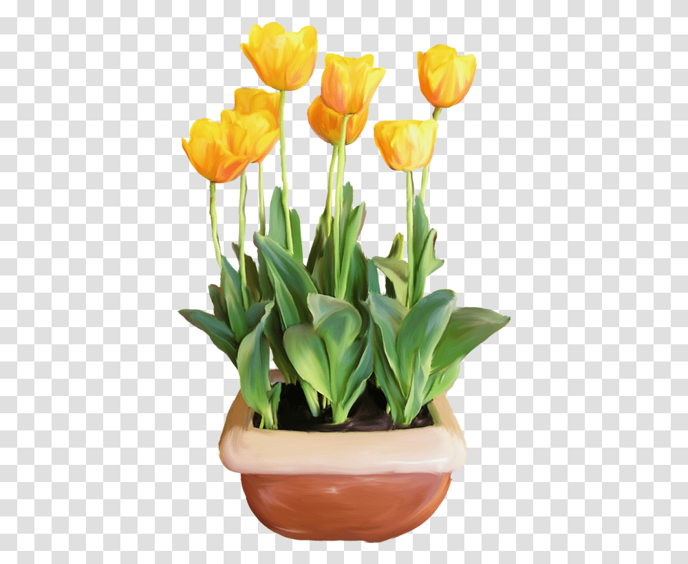 Pot De Fleur, Plant, Flower, Blossom, Tulip Transparent Png
