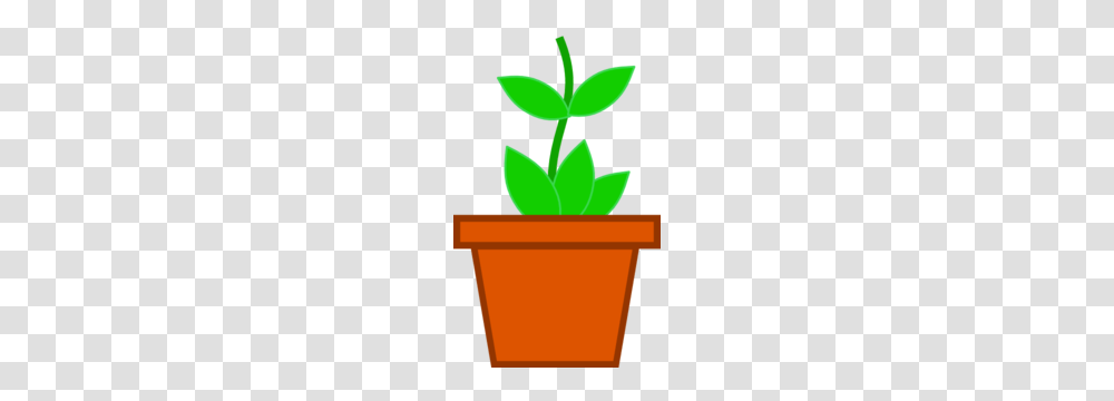 Pot Flower Clip Art, Plant, Leaf, Potted Plant, Vase Transparent Png