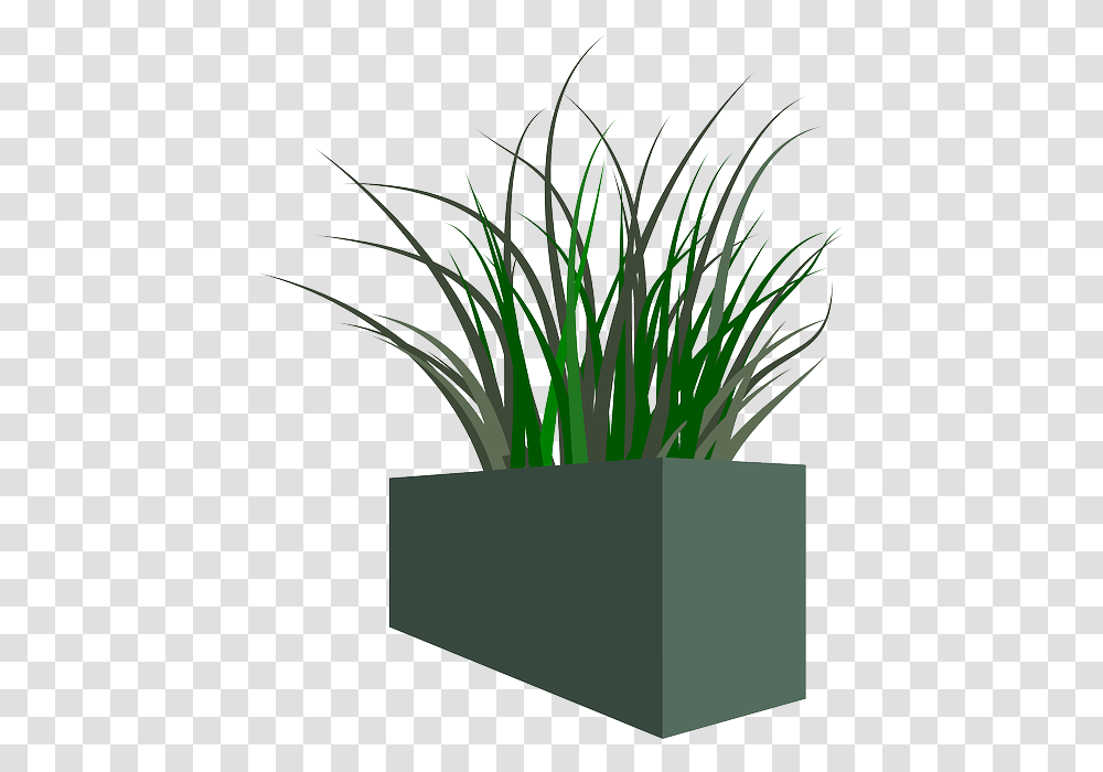 Pot Grass Plant Weeds Planter Boxes Background, Flower, Blossom, Paper, Bamboo Transparent Png