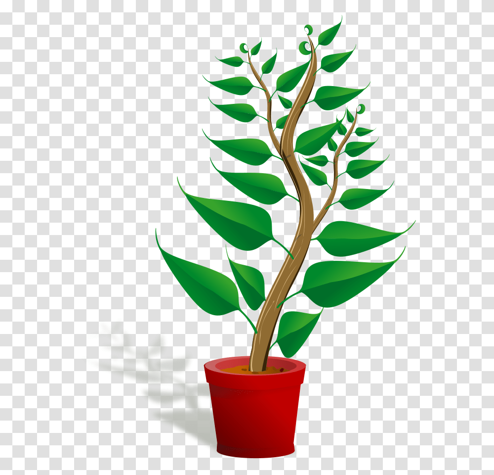 Pot Leaf Clip Art, Plant, Tree, Green, Flower Transparent Png