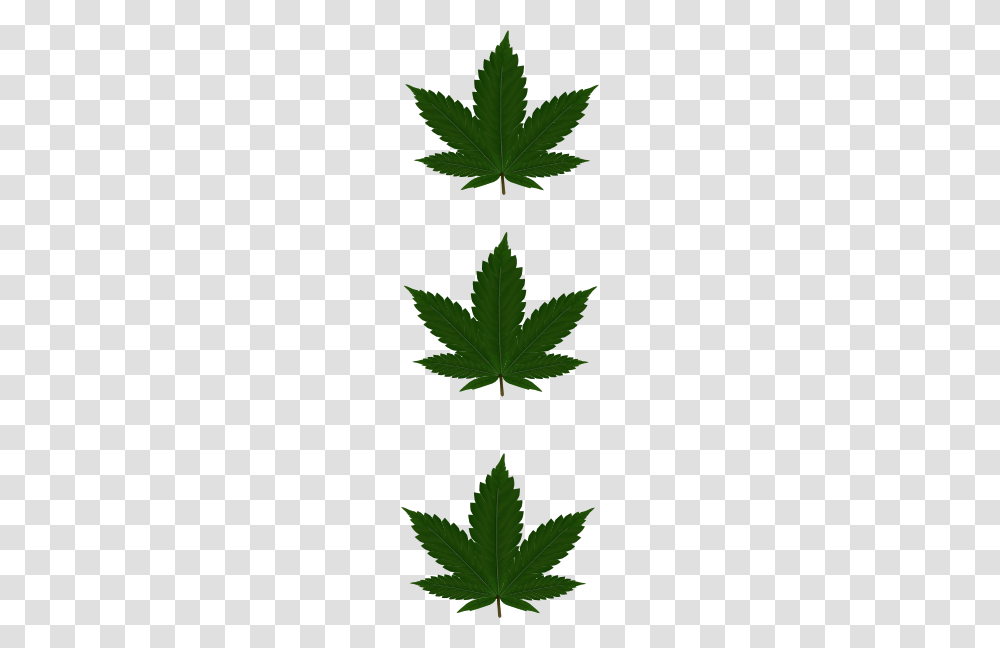 Pot Leaf Clipart, Plant, Tree, Maple Leaf, Weed Transparent Png