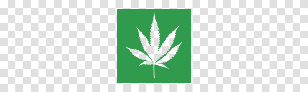 Pot Leaf Gt The Denver Guide, Plant, Green, Weed, Hemp Transparent Png