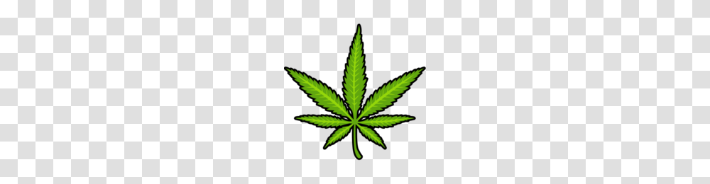 Pot Leaf Pfff, Plant, Weed, Hemp Transparent Png