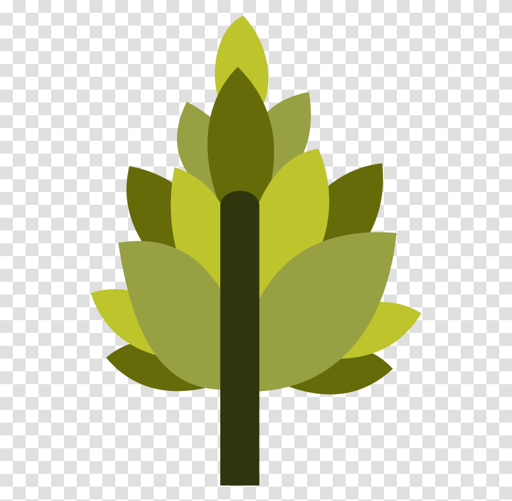 Pot Leaf, Plant, Paper, Tulip, Flower Transparent Png