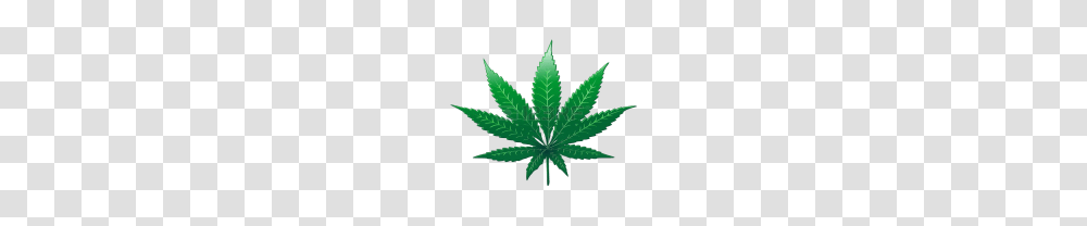 Pot Leaf, Plant, Weed, Hemp Transparent Png