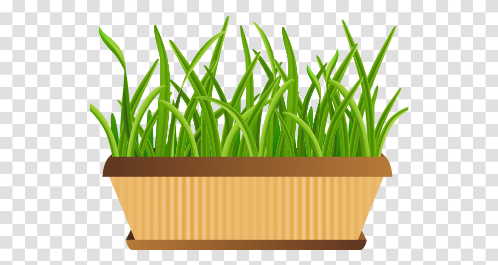 Pot Plant Clipart Bucket Flower Clip Art Flower Pot Background, Grass, Vegetation, Lawn, Produce Transparent Png