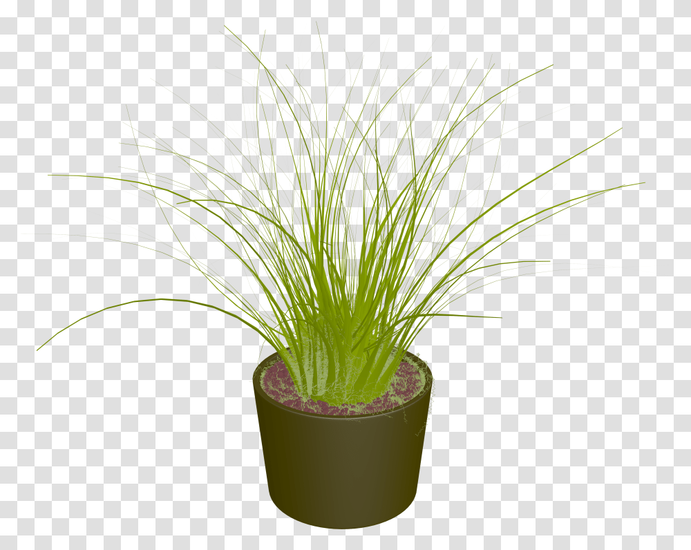 Pot Plant Clipart Land Clipart Binsen Im Topf, Palm Tree, Arecaceae, Green, Flower Transparent Png