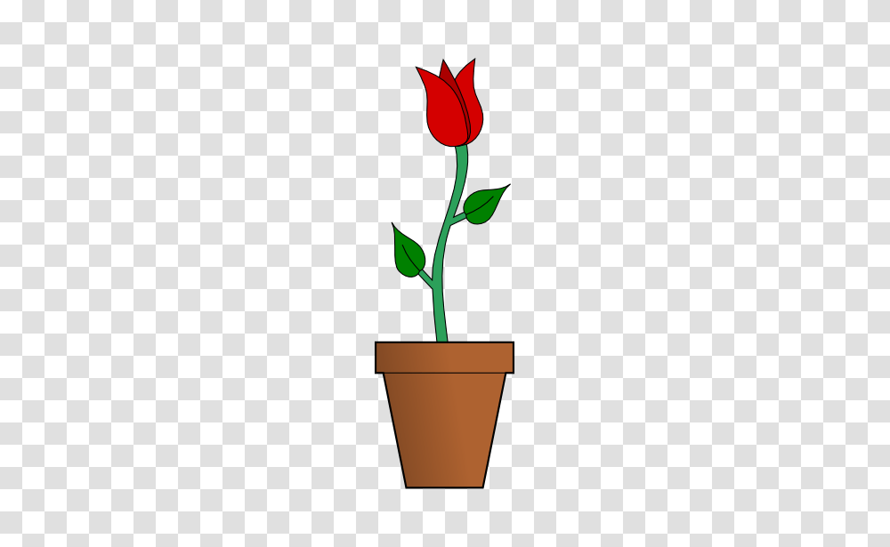 Pot Plant Clipart Rose, Flower, Blossom, Sprout, Bud Transparent Png
