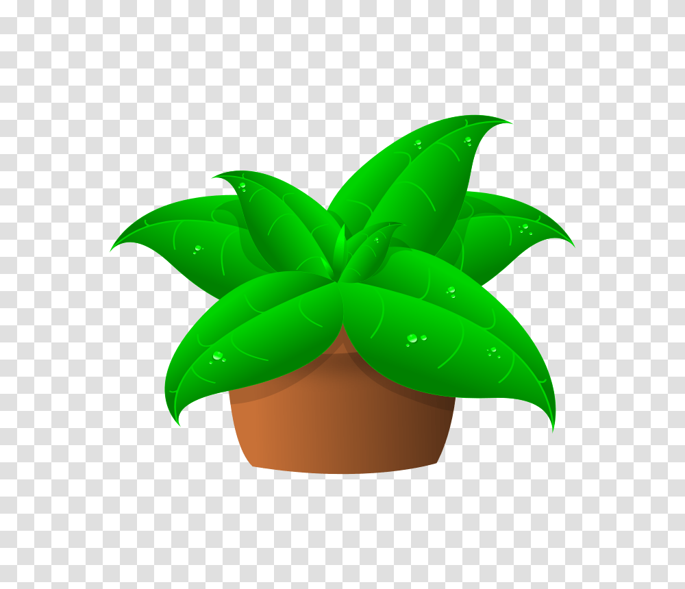 Pot Plant Clipart Small Plant, Leaf, Green, Star Symbol Transparent Png