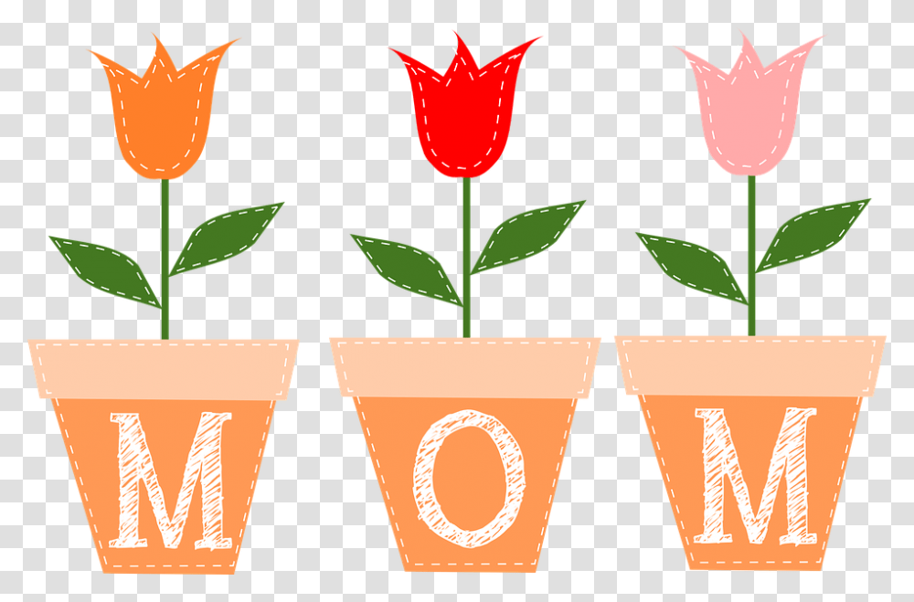 Pot Plant Clipart Spring Flower Mothers Day Clipart, Blossom, Rose, Tulip, Glass Transparent Png