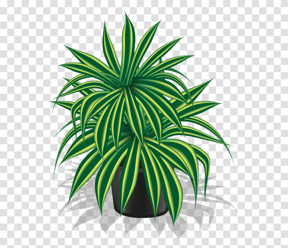 Pot Plant Clipart Spring, Pineapple, Fruit, Food, Palm Tree Transparent Png