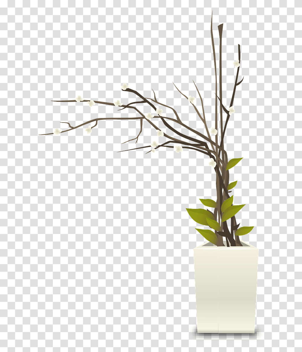 Pot Plant Indoor Pot Plant, Ikebana, Vase, Ornament Transparent Png