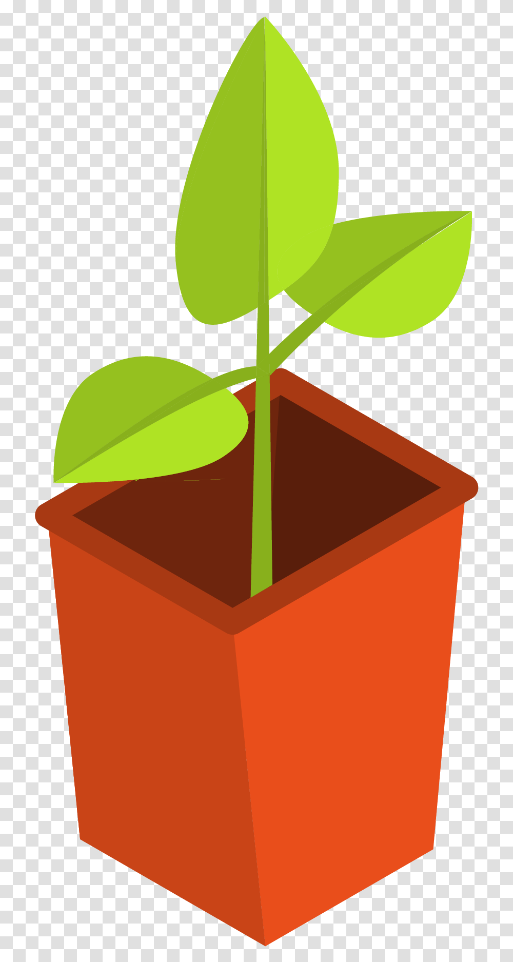 Pot Plant, Leaf, Sprout, Gift Transparent Png