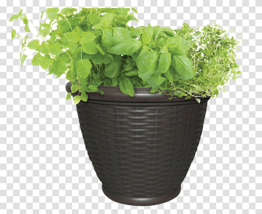 Pot With Soil Background Outdoor Flower Pot, Potted Plant, Vase, Jar, Pottery Transparent Png