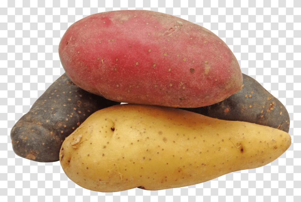 Potato Fingerling Rainbow Free Picture Red Potatoes Background, Plant, Food, Vegetable, Fruit Transparent Png
