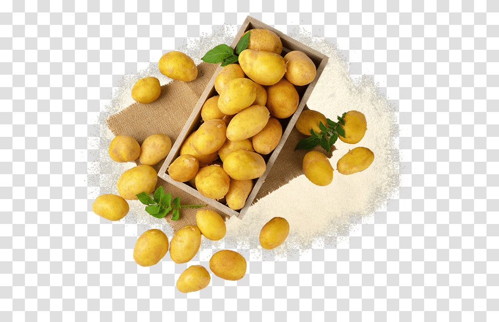Potato Flakes Olive, Plant, Fruit, Food, Produce Transparent Png