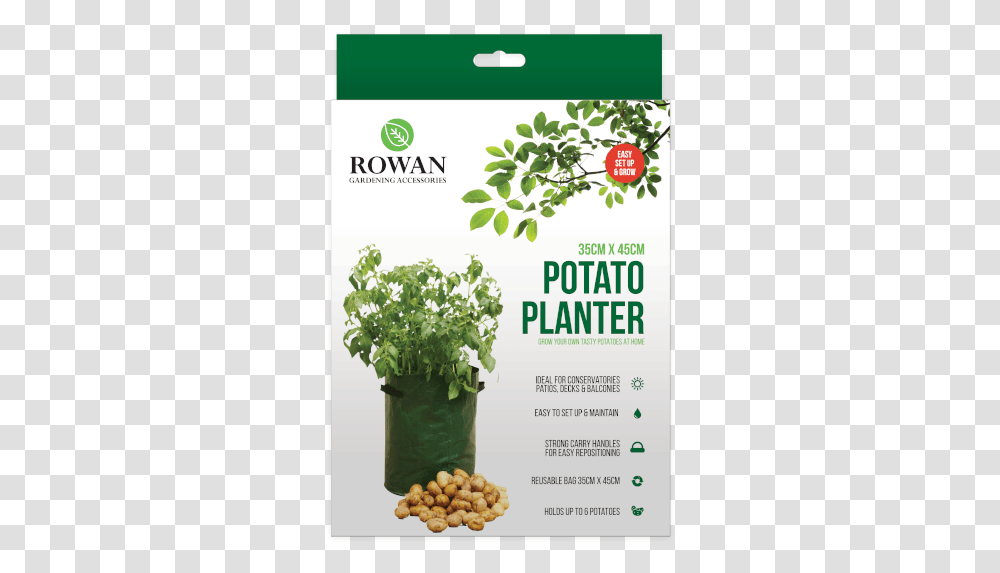 Potato Planter Potato, Vase, Jar, Pottery, Advertisement Transparent Png