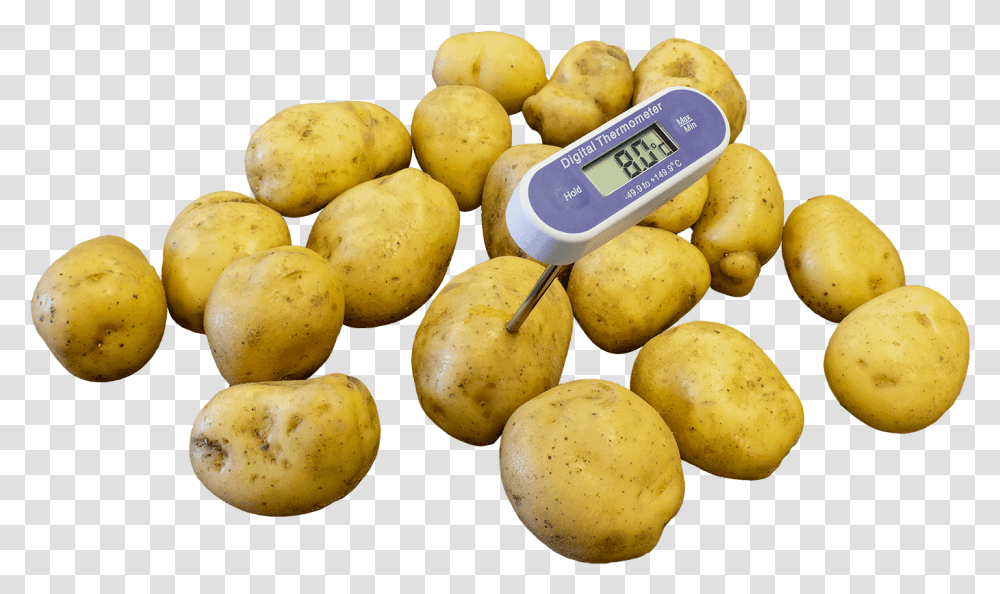 Potato Temperature Monitoring Equipment From Martin Lishman Ltd Thermometer, Vegetable, Plant, Food Transparent Png