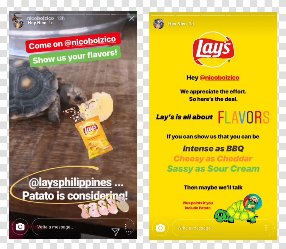 Potato Turtle Nico Bolzico, Poster, Advertisement, Flyer, Paper Transparent Png