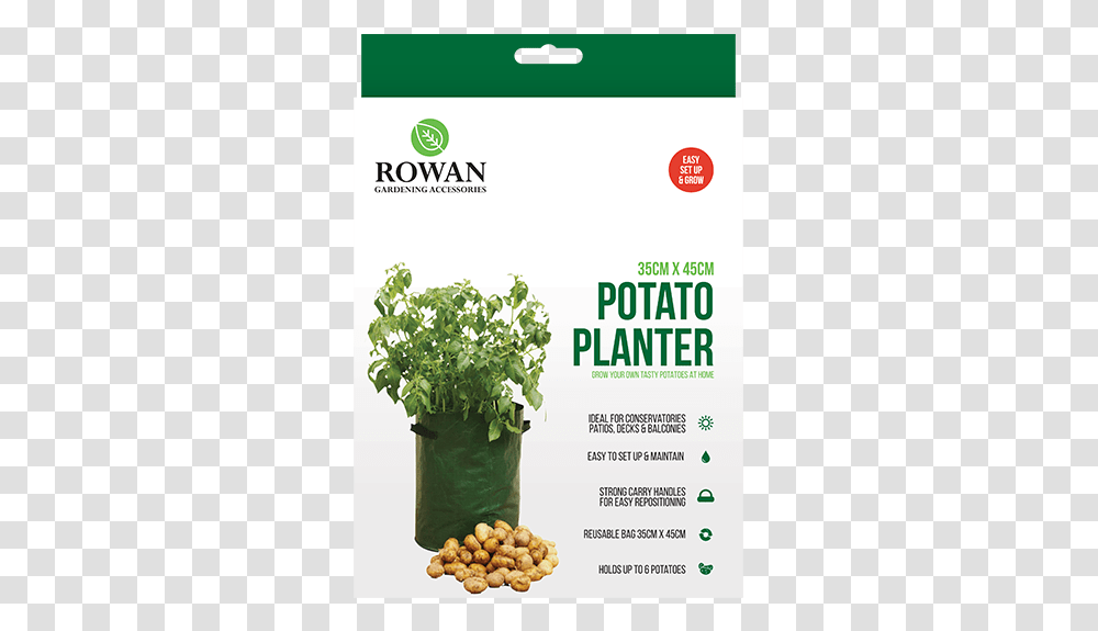 Potato, Vase, Jar, Pottery, Plant Transparent Png