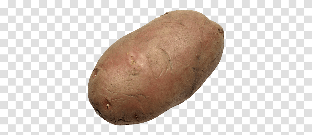 Potato With No Background, Plant, Bread, Food, Vegetable Transparent Png