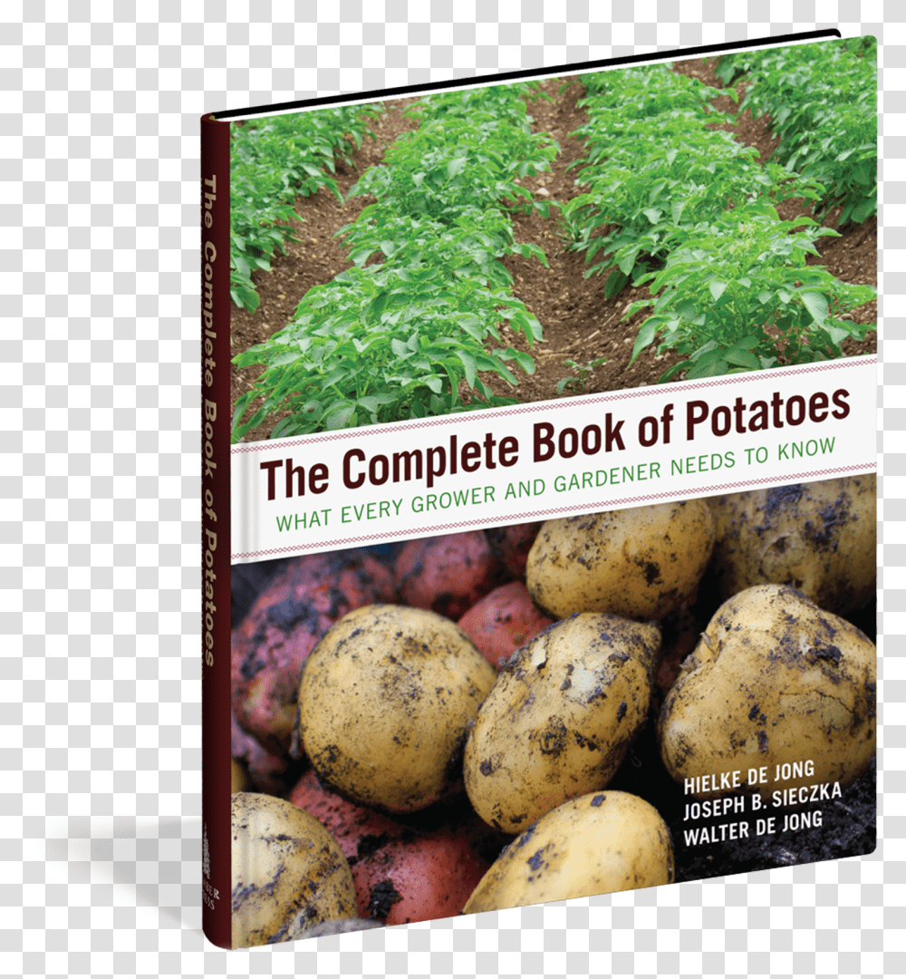 Potatoes Download Russet Burbank Potato, Plant, Vegetable, Food, Outdoors Transparent Png