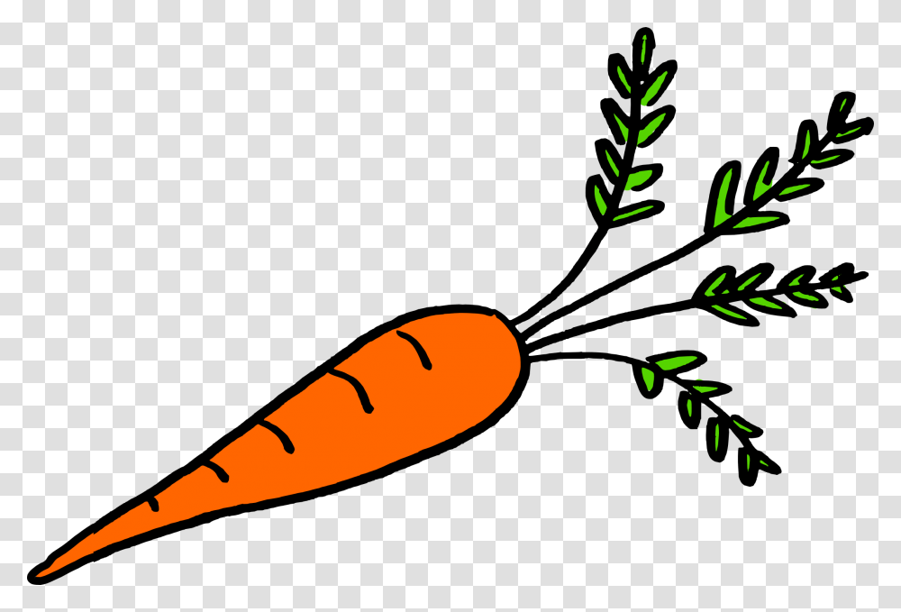 Potatoes Drawing Underground Vegetables That Grow Underground Roots, Plant, Carrot, Food Transparent Png