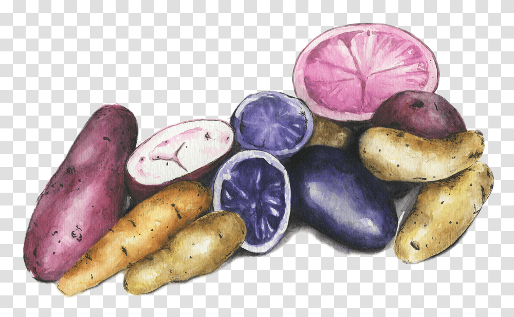 Potatoes Tuber, Plant, Purple, Food, Vegetable Transparent Png