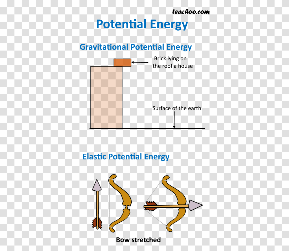 Potential Energy Potential Energy Definition, Bird, Animal, Alphabet Transparent Png