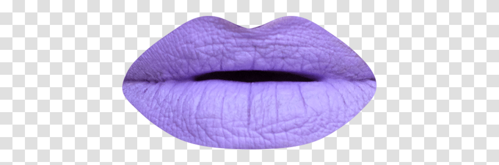 Potion 9 Lip Care, Mouth, Rug, Teeth, Tongue Transparent Png