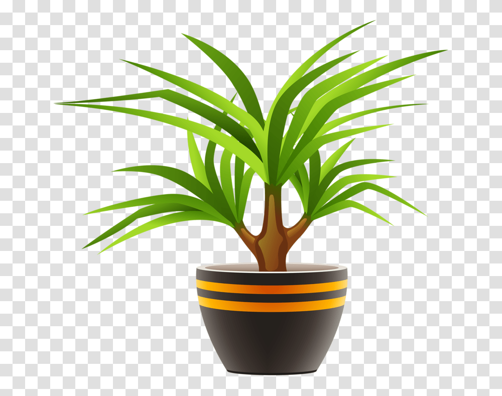 Potreby Clip Art And Scrapbook, Plant, Palm Tree, Arecaceae, Sprout Transparent Png