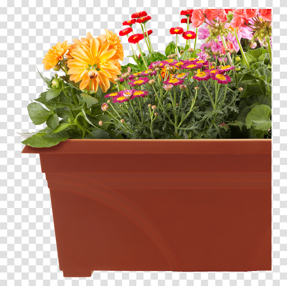 Pots Of Plants Download Flower Pots Images, Potted Plant, Vase, Jar, Pottery Transparent Png
