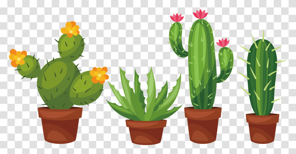 Potted Cactus Files Cactus With Flower Drawing, Plant Transparent Png