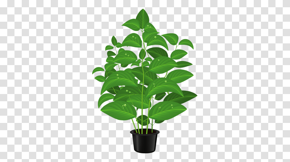 Potted Clipart, Leaf, Plant, Green, Vegetation Transparent Png