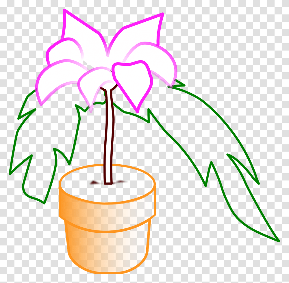 Potted Flowers, Dynamite, Bomb Transparent Png