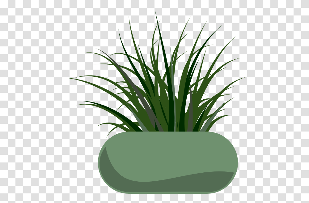 Potted Grass Clip Art, Plant, Flower, Blossom, Produce Transparent Png