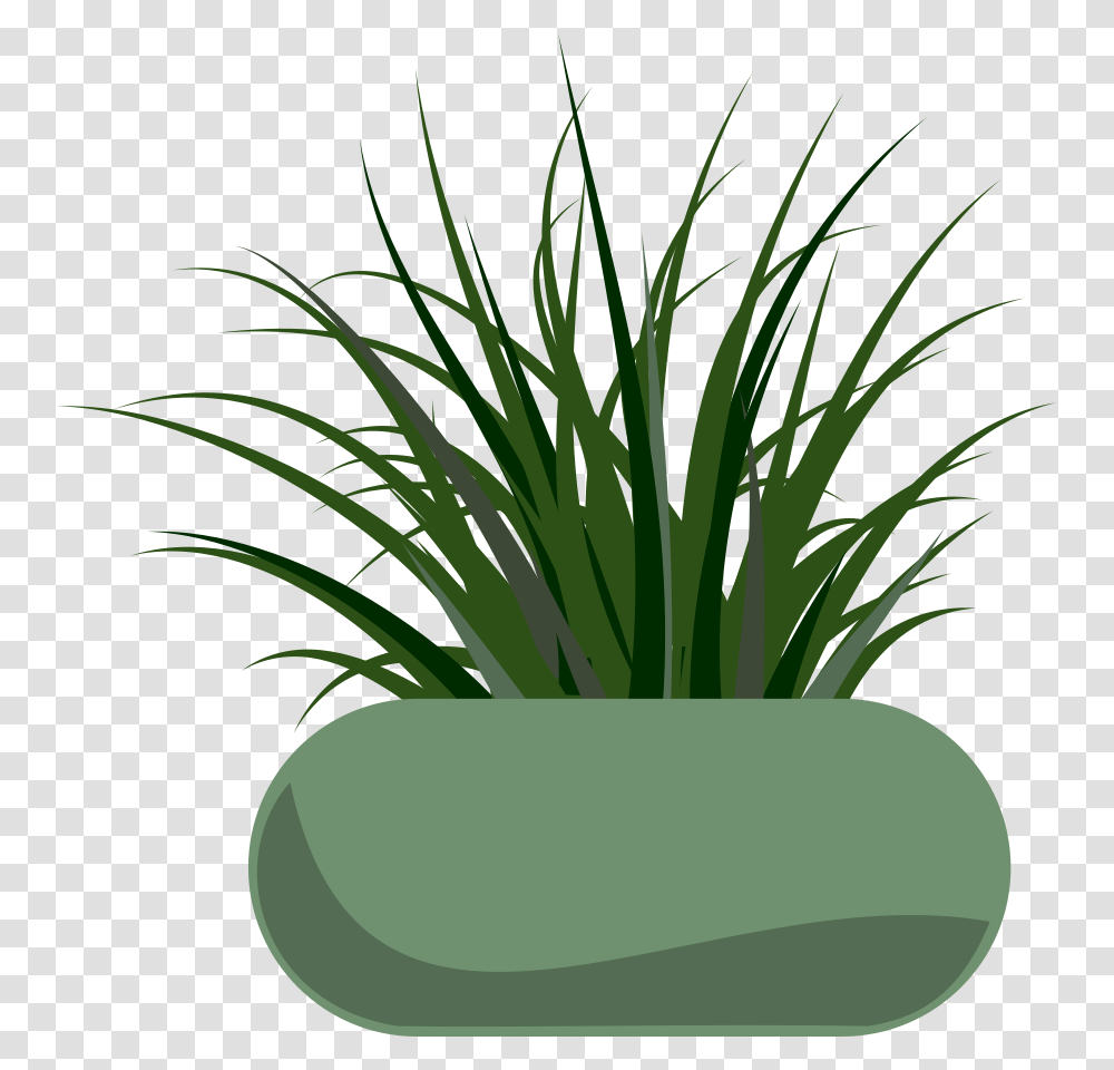 Potted Grass Large Size, Plant, Vegetation, Soil, Flower Transparent Png