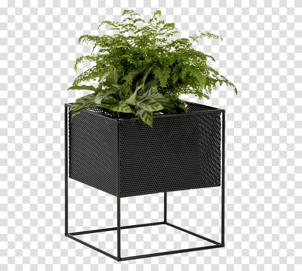 Potted Outdoor Plants, Potted Plant, Vase, Jar, Pottery Transparent Png