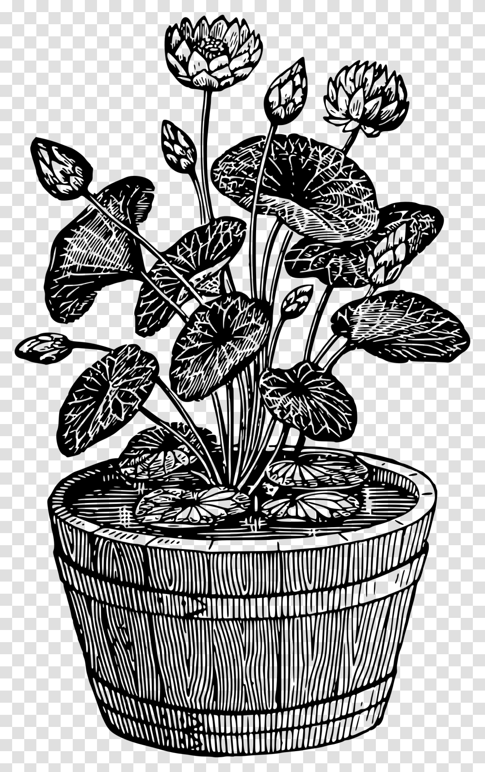 Potted Plant 10 Clip Arts Black And White Potted Plant, Gray, World Of Warcraft Transparent Png