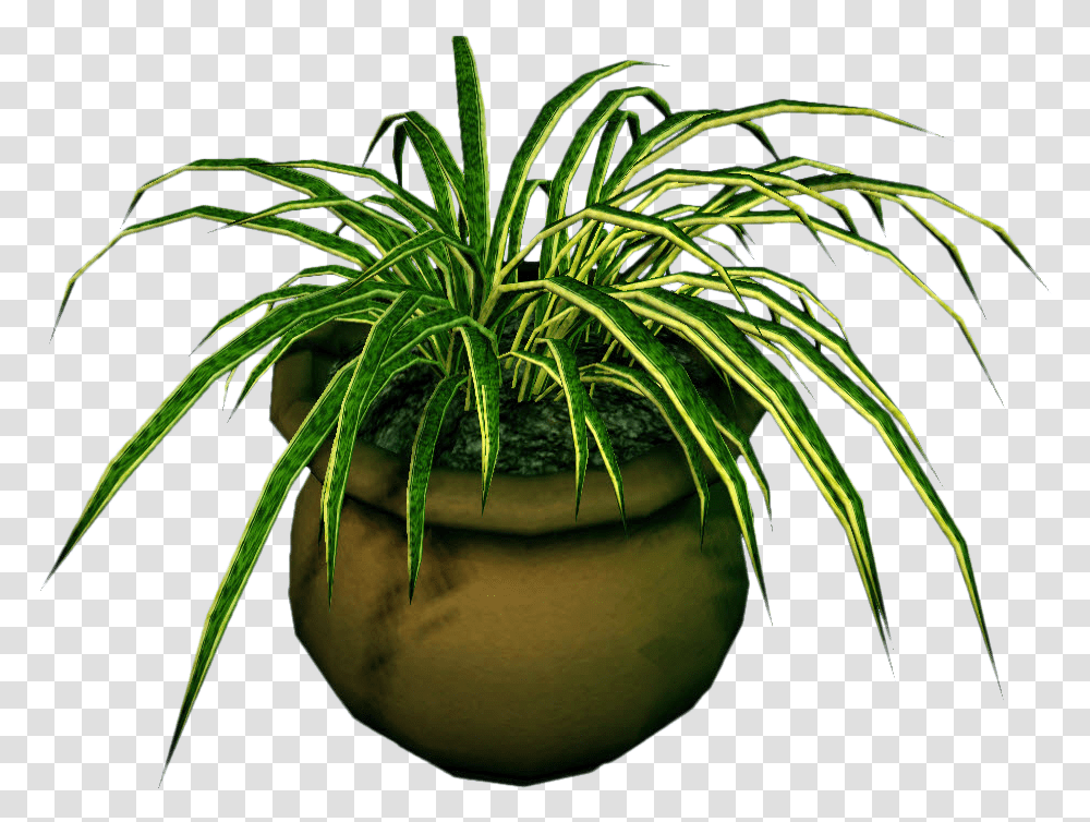 Potted Plant Clipart Free Library Dead Flowers In Pot Clip Art, Vegetation, Palm Tree, Arecaceae Transparent Png