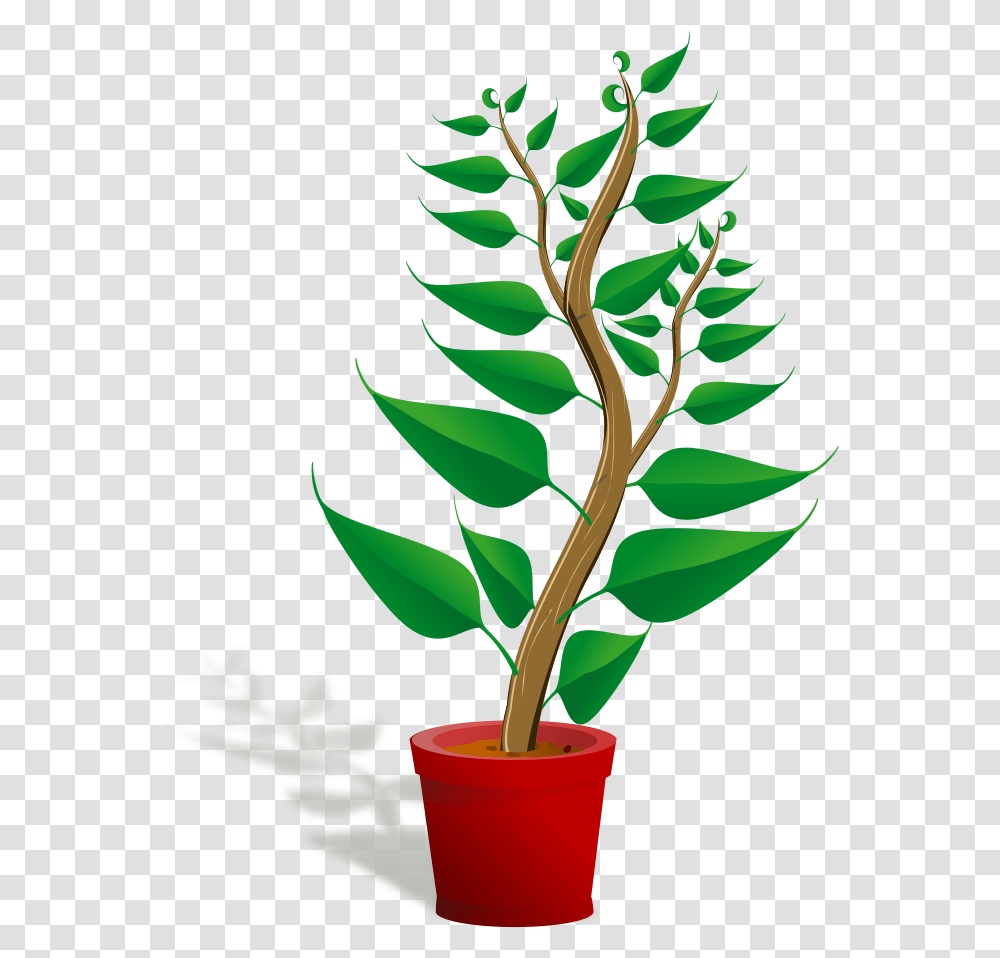 Potted Plant Clipart Plant Clip Art, Leaf, Tree, Green, Flower Transparent Png
