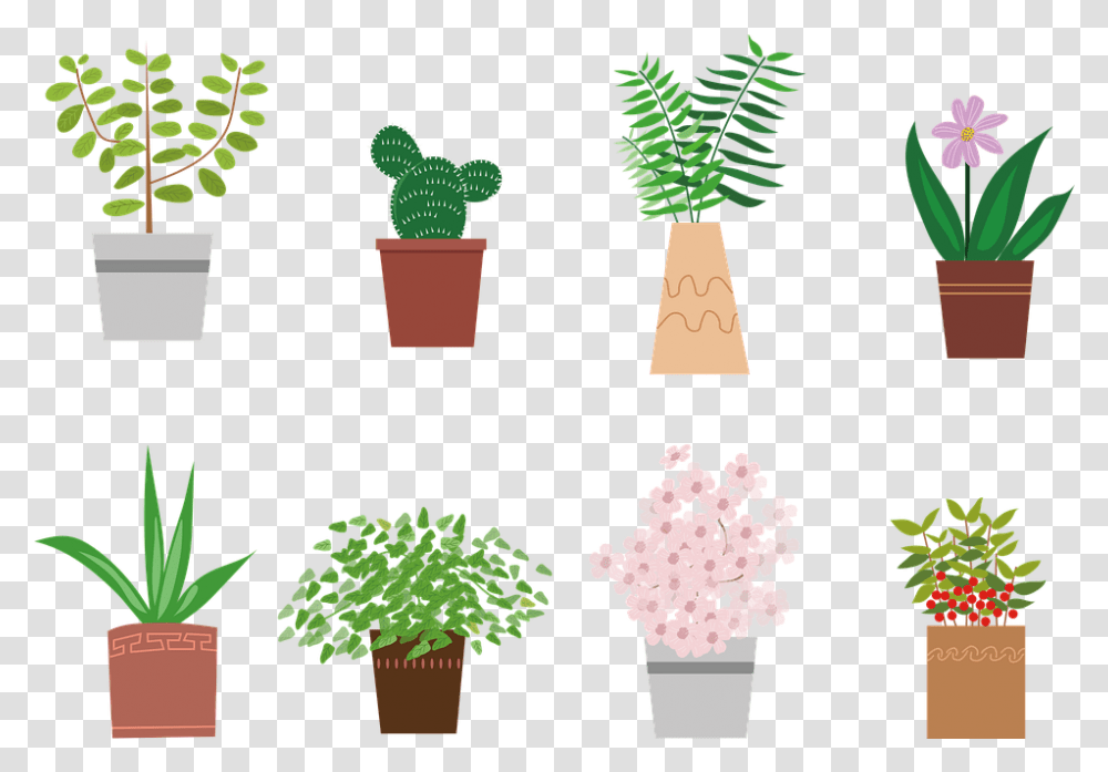 Potted Plant Flowers Plants Plants, Tree, Food, Blossom, Fir Transparent Png
