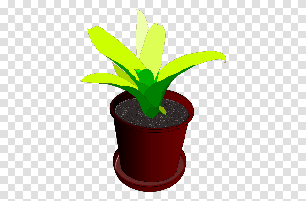 Potted Plant Large Size, Leaf, Banana, Fruit, Food Transparent Png