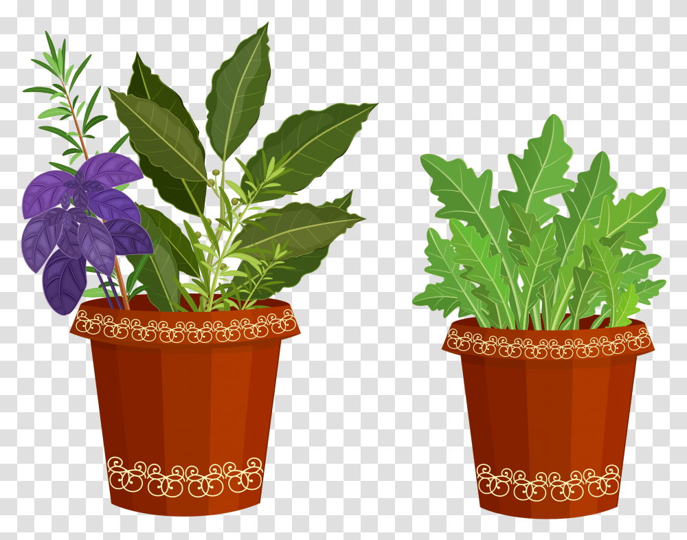 Potted Plant Potted Plants Clip Art, Leaf, Vase, Jar, Pottery Transparent Png