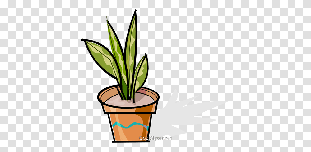 Potted Plant Royalty Free Vector Clip Art Illustration, Leaf, Aloe, Flower, Blossom Transparent Png