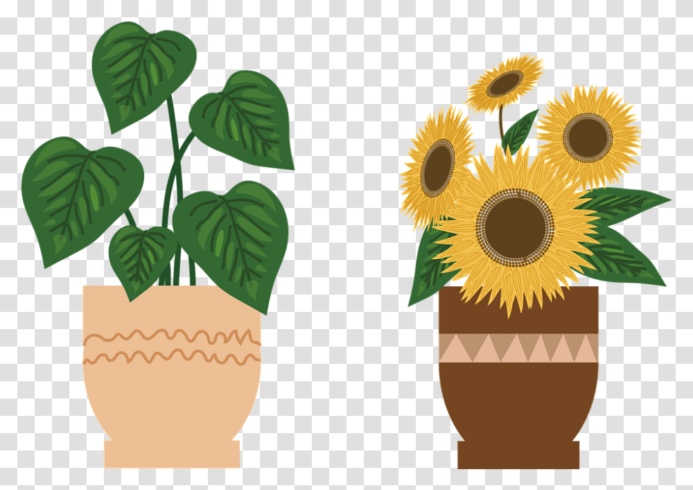 Potted Plant Sunflower Flowers Free Image On Pixabay Potted Sunflower Plants, Art, Graphics, Vase, Jar Transparent Png