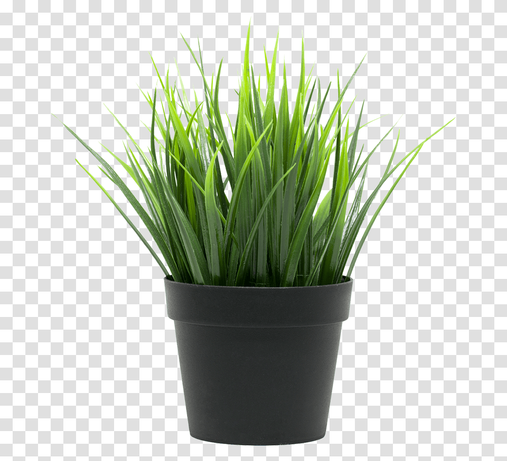 Potted Plant Trava Ikea, Green Transparent Png