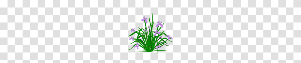 Potted Plants Clip Art, Flower, Purple, Jar, Vase Transparent Png